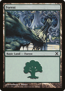 Forest (10E-380) [Tenth Edition] Foil