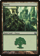 Forest (RTR-274) [Return to Ravnica]