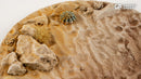 GamersGrass Battle Ready Bases: Desert of Maahl (25-170mm)