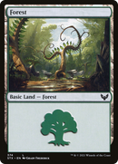 Forest (STX-374) [Strixhaven: School of Mages]