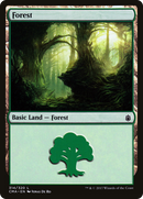 Forest (CMA-314) [Commander Anthology]