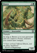 Brawn (M3C-224) [Modern Horizons 3 Commander]
