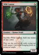 Wild Cantor (RVR-239) [Ravnica Remastered]