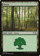Forest (DD3-029) (Elves vs Goblins) [Duel Decks Anthology: Elves vs. Goblins]