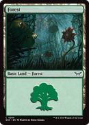 Forest (DSK-285) [Duskmourn: House of Horror] Foil