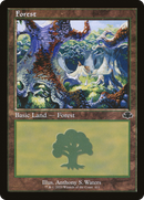 Forest (DMR-411) (Retro Frame) [Dominaria Remastered] Foil