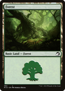Forest (MID-384) [Innistrad: Midnight Hunt]