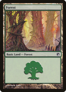 Forest (SOM-249) [Scars of Mirrodin]