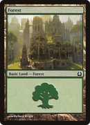 Forest (RTR-273) [Return to Ravnica]