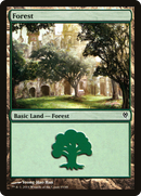 Forest (DDM-085) [Duel Decks: Jace vs. Vraska]
