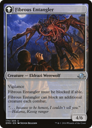Tangleclaw Werewolf (EMN-174) [Eldritch Moon]