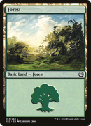 Forest (KLD-263) [Kaladesh]