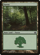 Forest (DDD-030) [Duel Decks: Garruk vs. Liliana]