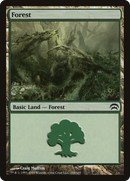 Forest (HOP-166) [Planechase]