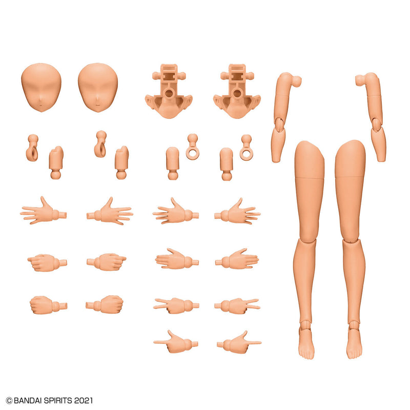 30MS Option Body Parts Arm & Leg (Color C)