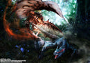 Nargacuga Dragon: Monster Hunter) S.H.Monsterarts
