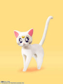 Sailor Moon: Sailor Venus (Animation Color Edition) S.H.Figuarts