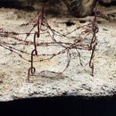 AK8015: Diorama - Terrains Dry Ground (250mL)