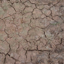 AK8034: Diorama - Wet Crackle Effects (100mL)