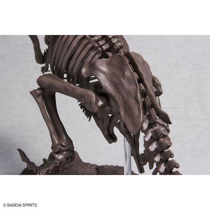 Imaginary Skeleton: Tyrannosaurus 1/32