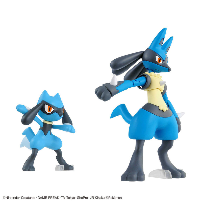 Pokemon Model: Riolu & Lucario