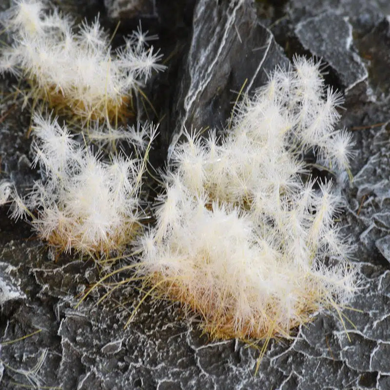 GamersGrass: Spikey Winter Tufts (12mm)