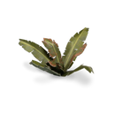 Laser Plants: Banana Tree