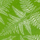 AK8136: Foliage - Bracken Fern