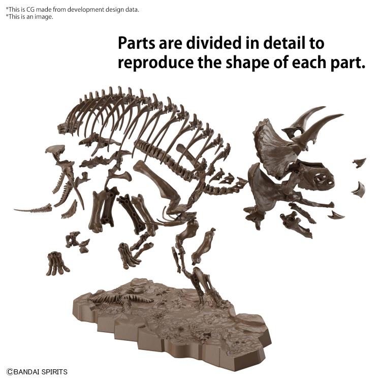 Imaginary Skeleton: Triceratops 1/32