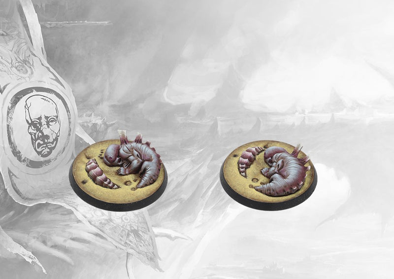 Conquest: Conquest Objective Markers