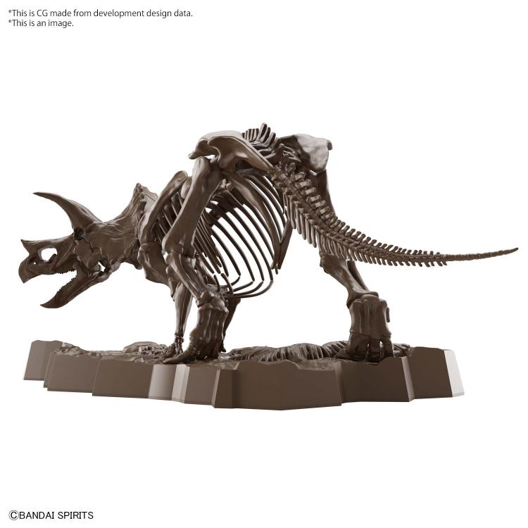 Imaginary Skeleton: Triceratops 1/32