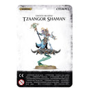 Tzeentch: Tzaangor Shaman